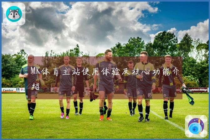 MK体育主站使用体验及核心功能介绍