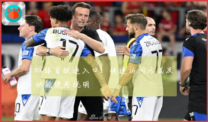mk体育极速入口：快速访问方式及功能使用说明